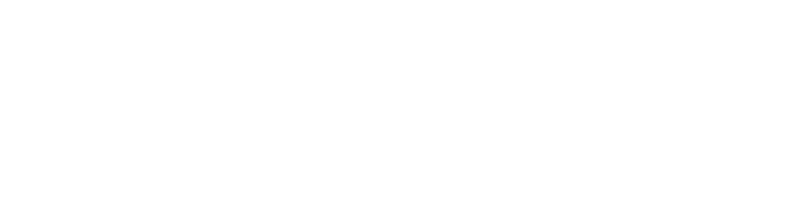 Logo Ecommerce Forum / CEE Summit